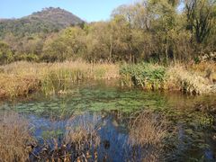 -西湖风景区-江洋畈生态公园