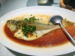 -维园悦谱·海派家常菜(乌鲁木齐南路店)