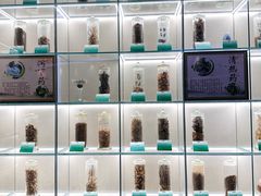 -广东中医药博物馆