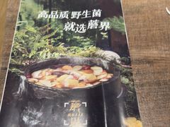 -蘑界·野生菌火锅(深业上城店)