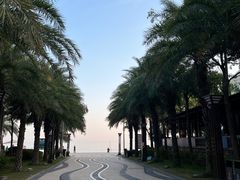 -马銮湾景区