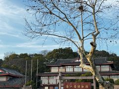 -浙江省博物馆(孤山馆区)