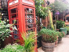 -The Grounds of Alexandria