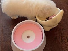 -西安浐灞艾美酒店·汉江餐厅·火锅