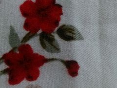 -极致味道动物奶油生日蛋糕(时尚店)