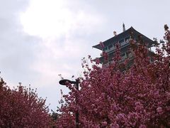 -西安世博园