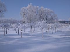 -人民防洪胜利纪念塔