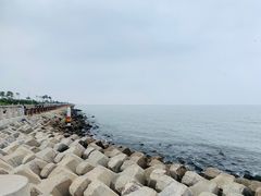 -东堤公园