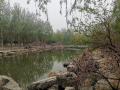 -东升八家郊野公园