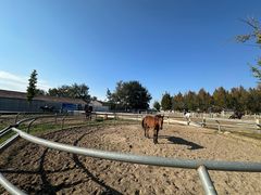 -北京群众马术培训基地