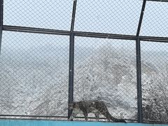 -青藏高原野生动物园
