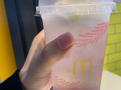 -麦当劳(衡阳解放路店)