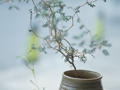 -Onirii Coffee(长乐路店)