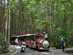 -同里国家湿地公园