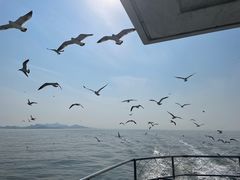 -海驴岛(荣成市)
