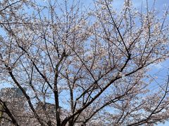 -西北湖绿化广场