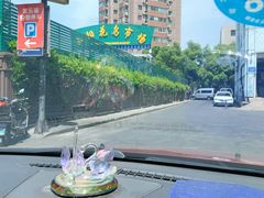-曲阳花鸟市场(曲阳路店)