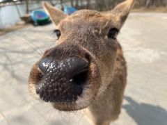 -南京金牛湖风景区