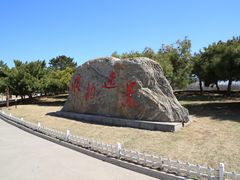-塘沽森林公园