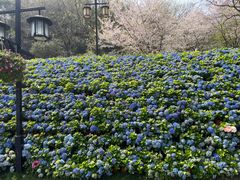 -苏州上方山国家森林公园