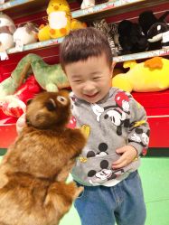 -Hamleys哈姆雷斯(东方福来德店)