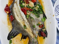 -魚當家