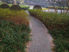 -徐家汇源景区-衡山公园