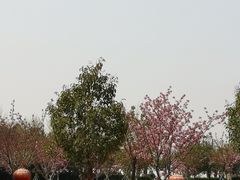 -古柏渡飞黄旅游区