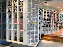 -大连森林动物园熊猫馆纪念品商店