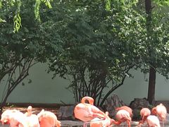 -石家庄市动物园