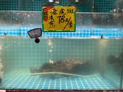 -石岐乳鸽村(南海第三分店)