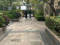 -金汇酒楼(中山东区店)