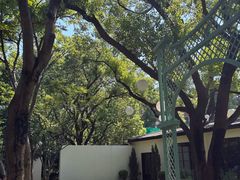 -上海瑞金洲际酒店