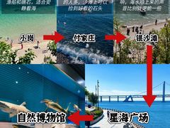-日月昇渔家菜·海肠捞饭·大连海鲜(星海公园店)