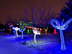 -长春公园(普阳街道)