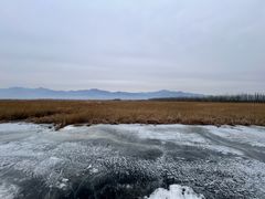 -野鸭湖国家湿地公园