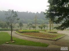 -南国桃园旅游度假区