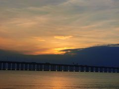 -宝安西湾红树林湿地公园