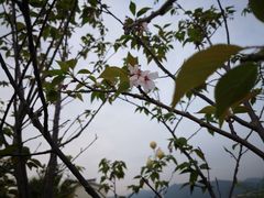 -福州罗源湾海洋世界旅游区