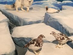 -陕西自然博物馆