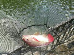 -茗荔园农庄(大涌店)