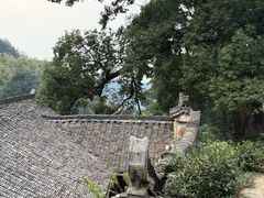 -杨家堂村