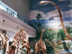 -自贡恐龙博物馆