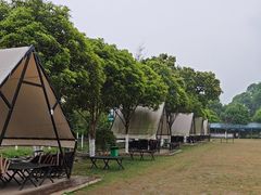 -洪湖家庭农场·团建·露营·会议