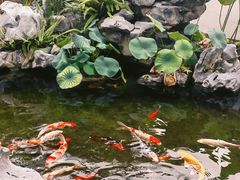 -道南書院·私房菜·早午茶·茶馆