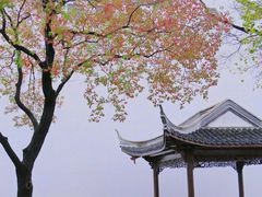 -老门东历史文化街区