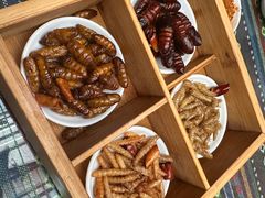 -昆虫窝子·特色云南菜(拓东路总店)