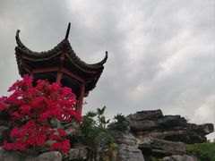 -顺峰山公园