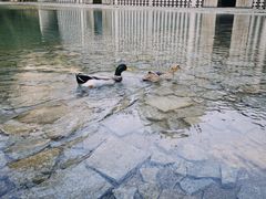 -阳朔糖舍酒店·糖舍餐厅&酒吧