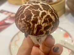 -稻香酒家(天河城店)